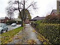 Wet leaves on the pavements