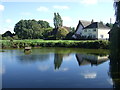 Pond in Thrandeston