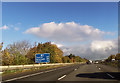 M5 north near Pinhoe