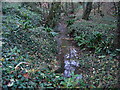 Stream, Teagles Copse, near Tockenham Corner