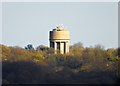 Norton Water Tower viewed from Lenny Hill