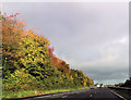 ST0310 : Autumn colours alongside the  M5 by John Firth