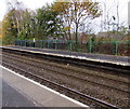 Green railings, Shifnal railway station