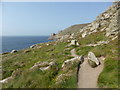 Coastal path at Tregiffian Vean Cliff