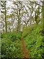 Exbury, footpath