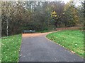 Newcastle-under-Lyme: public footpath in Lyme Valley Park