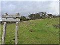 Looking towards White Horse Wood Country Park from the North Downs Way