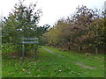 Path in White Horse Wood Country Park