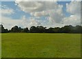 Farmland south of Radlett