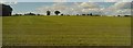 Farmland, Shooters Hill Farm