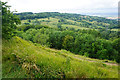 Footpath on the edge of Leckhampton Hill