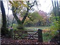 Gate into woodland by the River Dart