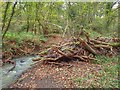 Flood Debris, Millholme Beck