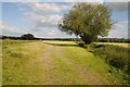 Field beside the River Frome