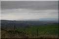 Looking over Macclesfield