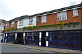 The Greyhound