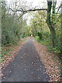 A green lane leading from Sutton Hill