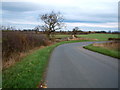 Sharp bend in Back Lane