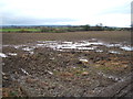 Muddy field off Back Lane