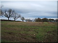 Stubble field beside Back Lane