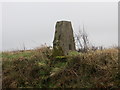 A roadside hedge topping pillar near Whitely Cross