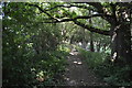 Footpath off Nunnery Lane