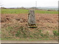 A view from the Triangulation Pillar on Thorne Moor at Thornhillhead