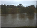 SD5085 : The swollen River Kent in Levens Park by Karl and Ali