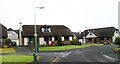 Housing estate at Riverdale, Annahilt