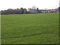 Playing Fields - Tolson Crescent