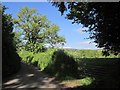 Lane at Sloncombe