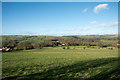 Field adjacent to Derwent Walk