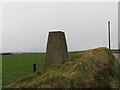 View from roadside Triangulation Pillar on Whitefield Down