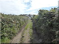 The footpath near Pedn-an-vounder