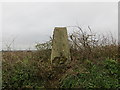 Hedge Topping Little Ashridge Triangulation Pillar