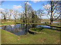 Unusual Pond, Chilton House