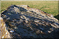 Rothiemay Recumbent Stone Circle (15)