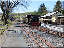 SN7376 : Train No. 8 arriving at Devil's Bridge Station by Peter Wood