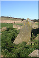 Yonder Bognie Recumbent Stone Circle (6)