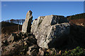 Cairnton Recumbent Stone Circle (6)