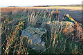 NJ6942 : Mains of Hatton Recumbent Stone Circle (5) by Anne Burgess