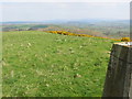 View from Pen Lan Triangulation Pillar