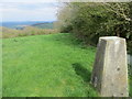 Hedge and field view at Cwm-Du Triangulation Pillar