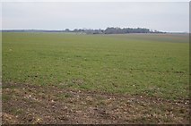 SU5252 : Fields north of the Harrow Way by Mr Ignavy