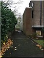 Keele University: path behind the Lennard-Jones building