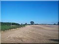 Newly ploughed fields on the east side of the A2 south of Clough