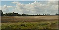 Farmland near Burton Latimer