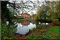 Apperley pond; late autumn