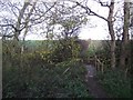 Footpath from Anstey to Cropston