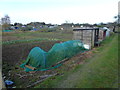 TL3875 : Allotments in Earith by Richard Humphrey